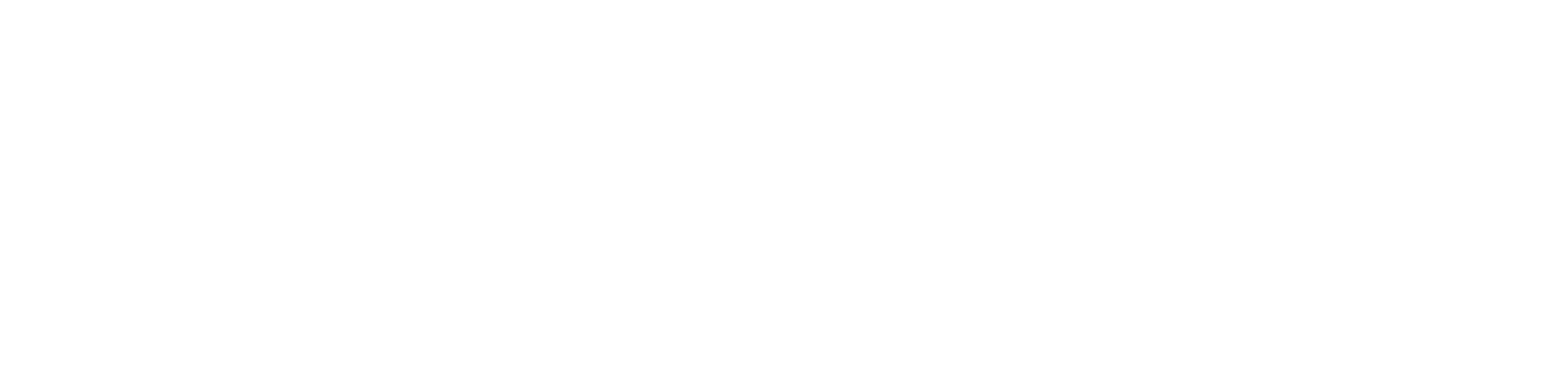 vvirori-watermark-v1.png
